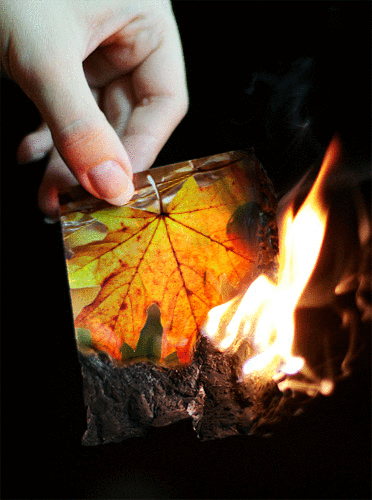 1nhom_lua_500 1nhom_lua_500